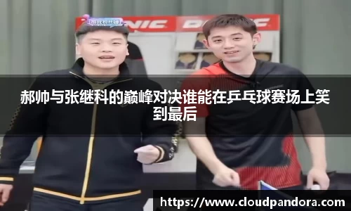 郝帅与张继科的巅峰对决谁能在乒乓球赛场上笑到最后