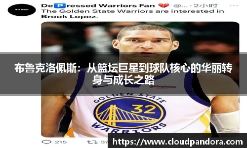 布鲁克洛佩斯：从篮坛巨星到球队核心的华丽转身与成长之路