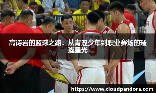 高诗岩的篮球之路：从青涩少年到职业赛场的璀璨星光